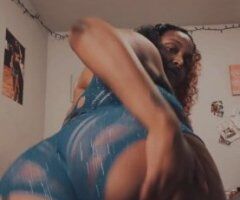 sexy thick mixbreed 🫦 - 24 - Image 7