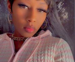 Foxy Roxy - 25 - Image 4