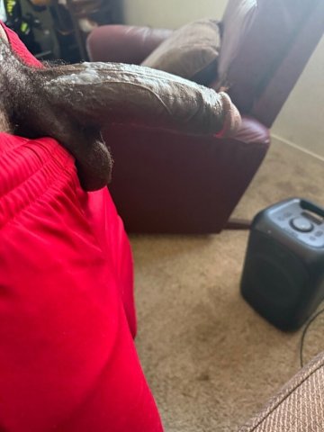 ready now - 1