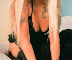 Odessa escorts - If curiosity killed the cat. what did the kitty cat do for curiosity - 46