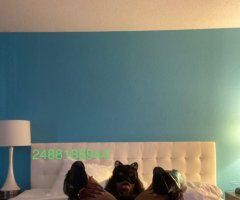 Detroit escorts - Available in REDFORD today . ◾ 80QV SPECIAL - 32