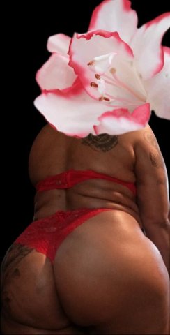 ✨ LeT Me P|€Ase 🙌🏾 That M🅰➕🍆 With My Amazing 🌟M○u+h👅 & Throbbing💦K!+ty💥 - 26 - 1