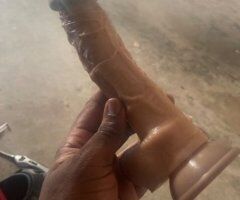 Houston escorts - SHITTY KITTY NATURAL AS IS BOOTY HOLE Thckkkkk chub bottom, Call and Text!!