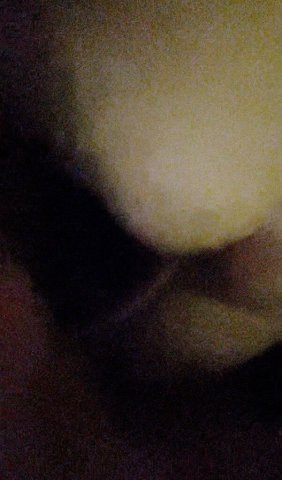 bottom looking for big dick ( no fee. you host ) - 1