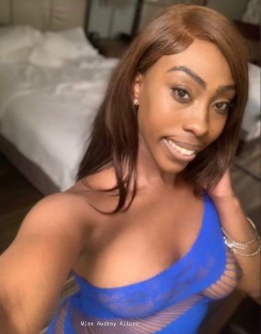 All Natural 💦🍑 Chocolate Beauty Bombshell 🤩✨ Available Now 🔥 Hot Body‼ - 22 - 1