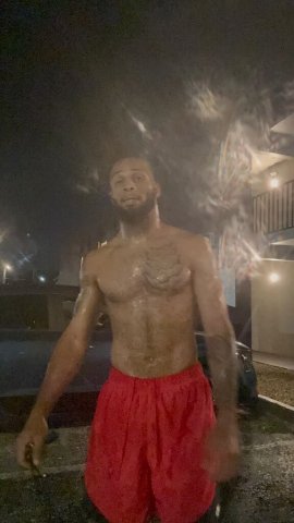 5 Star ⭐ Stallion 🐎 - 1