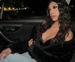 Waterbury escorts - Persian Dessert In Human Form 🍨 300HHR 400HR * Real & Verify - 22