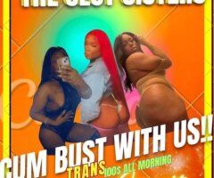 DYCKMAN WE BACK ALL TRANS LIFE STYLE PARTY 100ENTRY - 25 - Image 3
